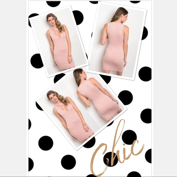 Spring Fling Light Pink Dress - Picture 4 of 4